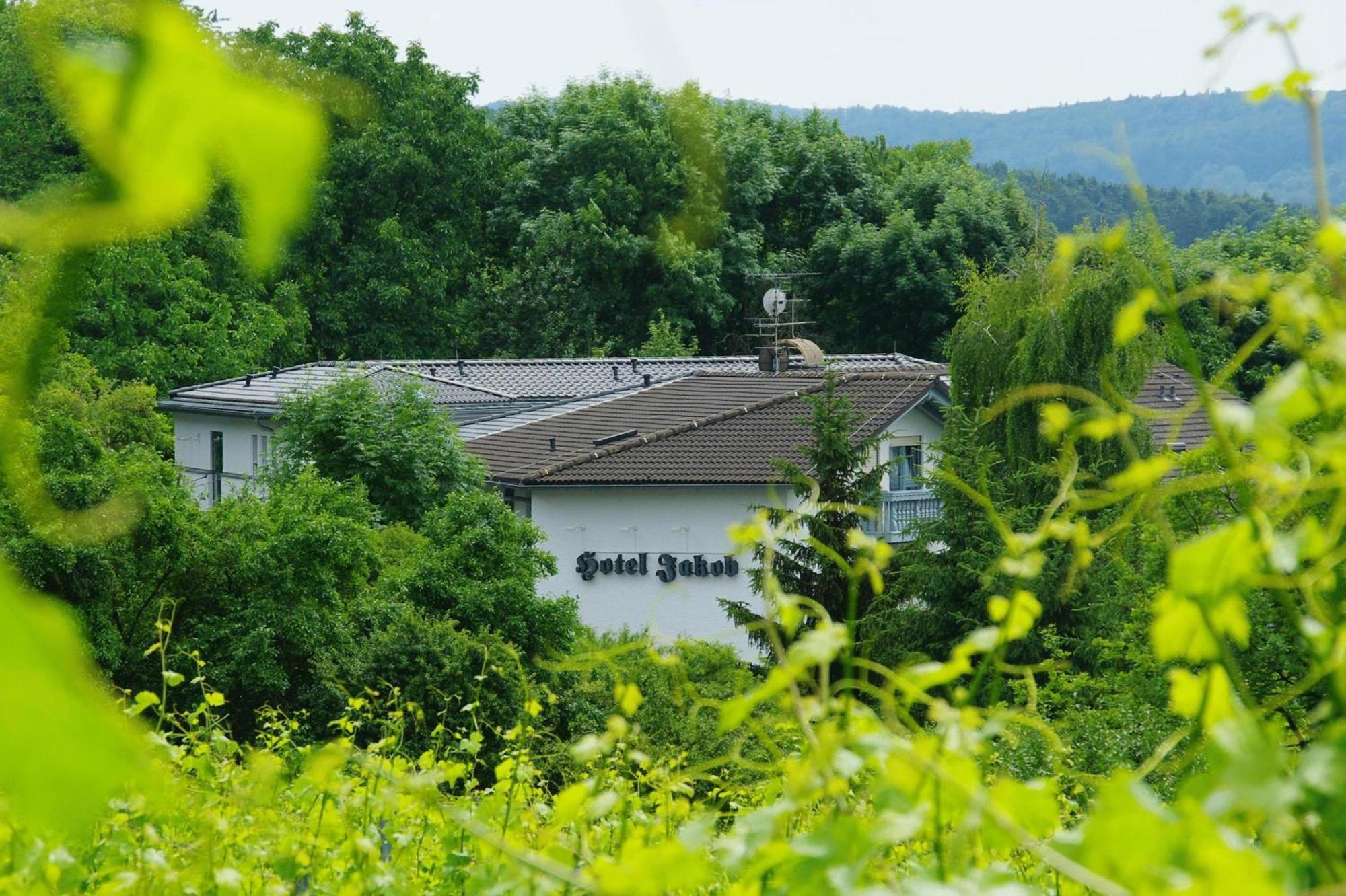 Hotel Jakob Gross Umstadt Bagian luar foto